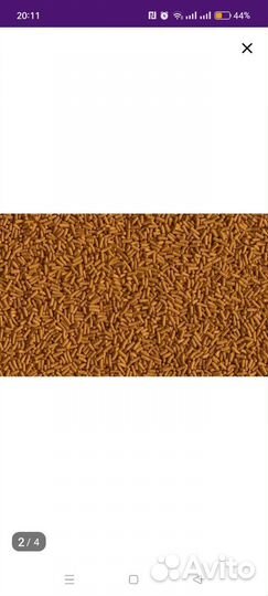 Корм для рыб