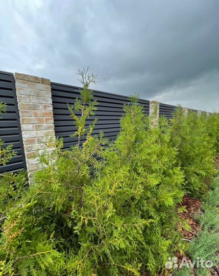 Забор металлический Rancho / Ранчо