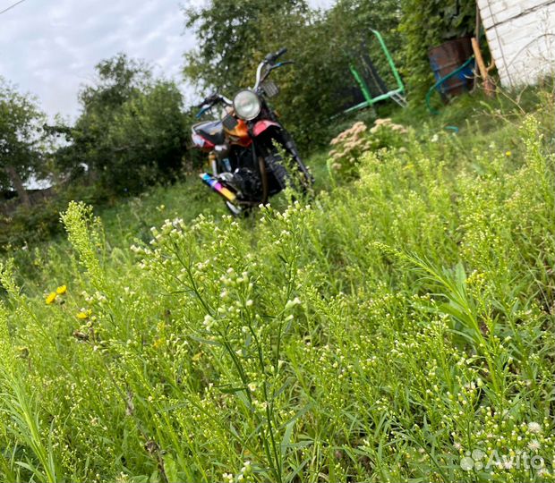 Продаю рейсер магным 200