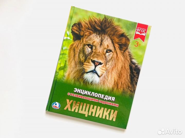 Детские энциклопедии и книги Умка. Новые