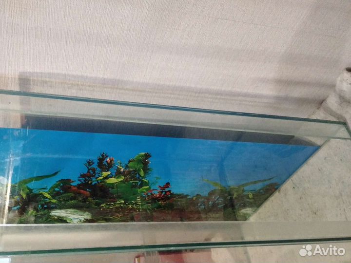 Аквариум