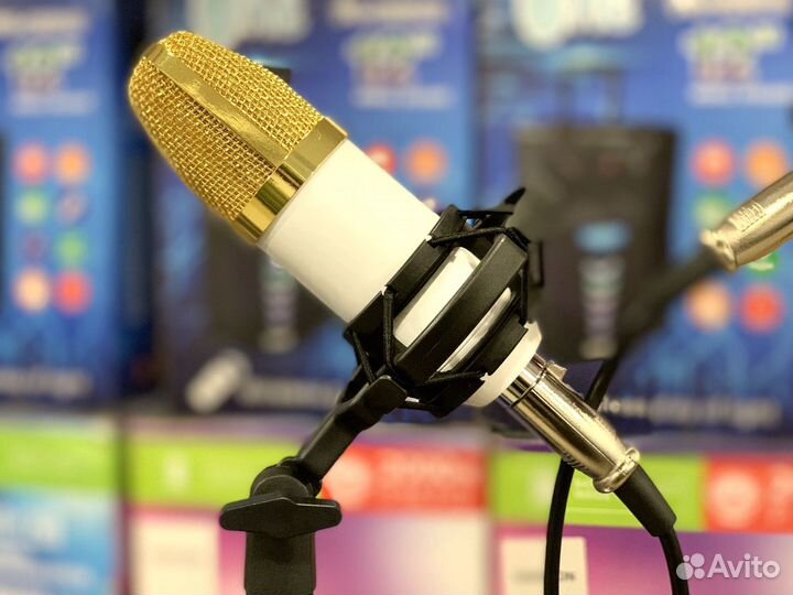 Микрофон мs-800