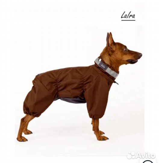 Одежда для собак Laira