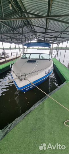 Rinker 246 captiva 2009 г