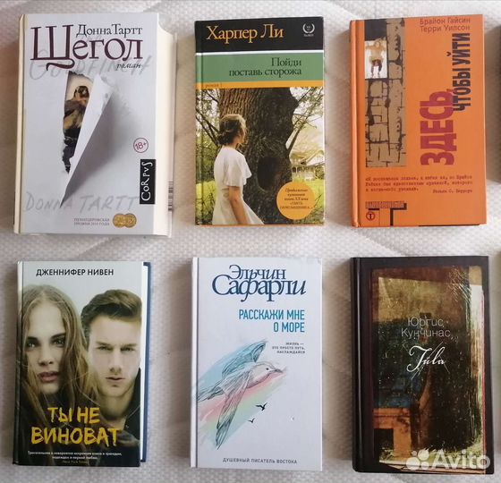 Художественная литература