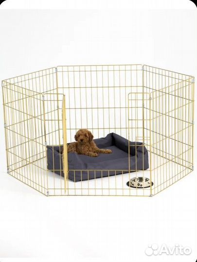 Вольер для собаки, щенка 61*60 6 секций