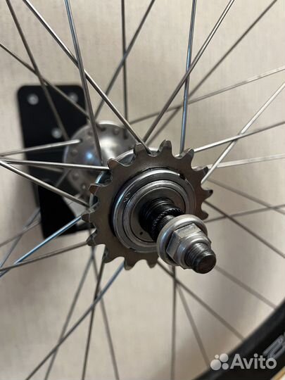 Вилсет Planet X