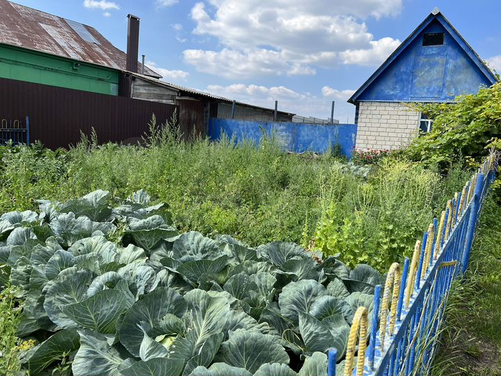 Дом 53 м² на участке 30 сот.