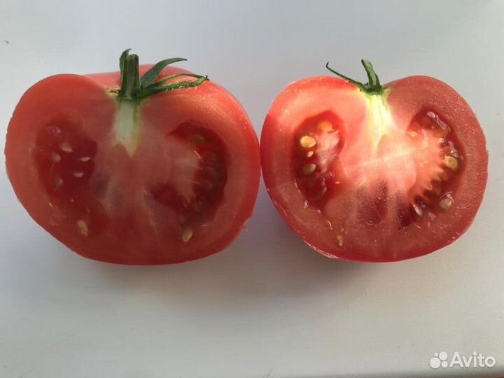 Томаты