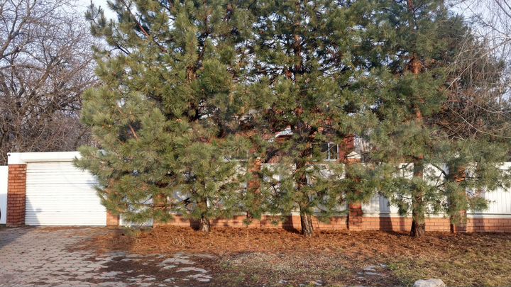 Дом 334 м² на участке 7,6 сот.