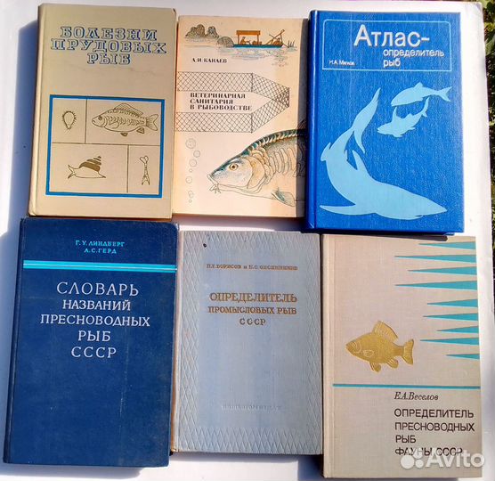 Справочник Рыбовода Болезни Определить Рыб Рыбалка