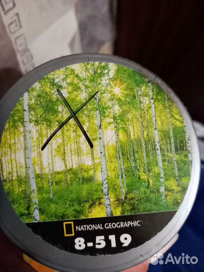 Фотообои Березовая Роща