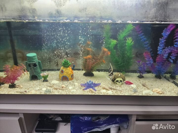 Украшение для аквариума, сачок, корм