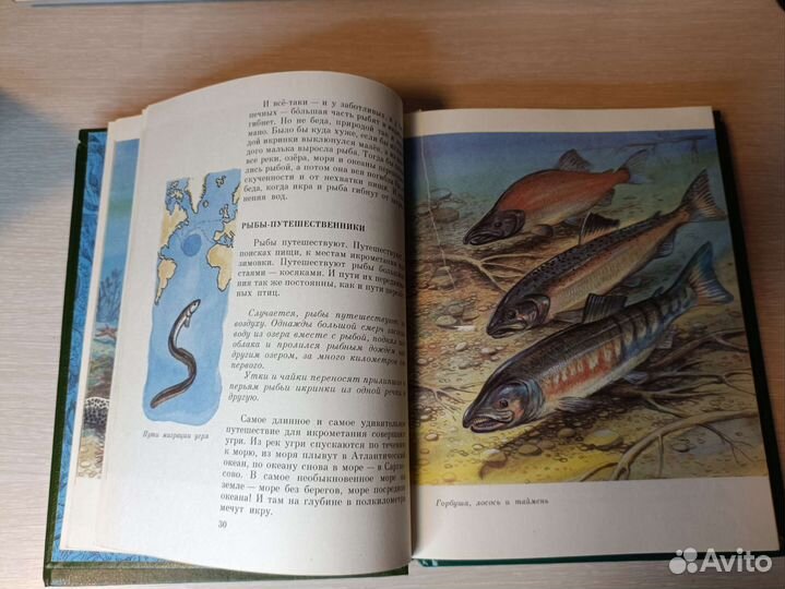 Замечательные звери,покажите мне их,след динозавра