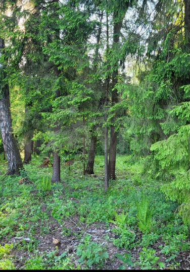 Участок 11,2 сот. (СНТ, ДНП)