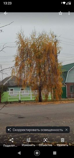 Дом 51 м² на участке 14 сот.