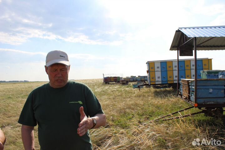 Мёд натуральный - 5 сортов, опт. Тверь