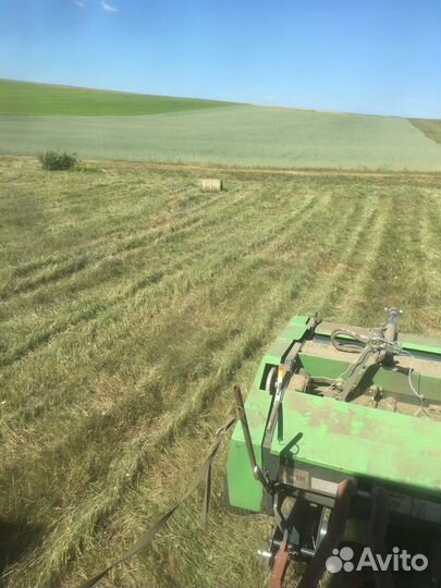 Продам сено