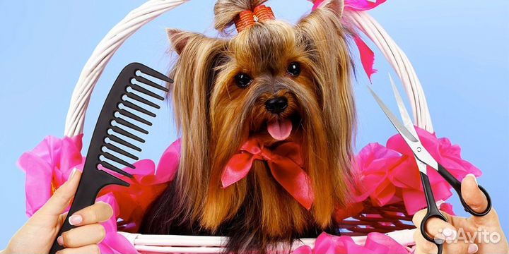 Грумер Стрижка собак и кошек(Славянка Колпино