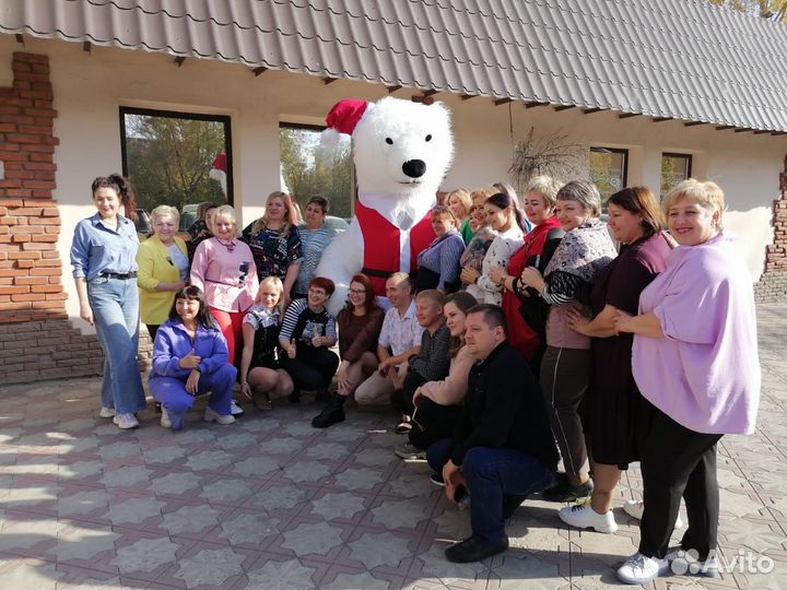 Белый Мишка Медведь,Панда костюмы