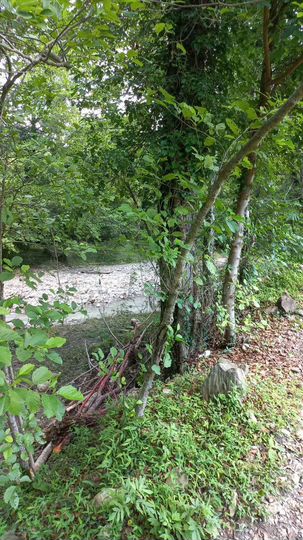 Участок 20 сот. (СНТ, ДНП)