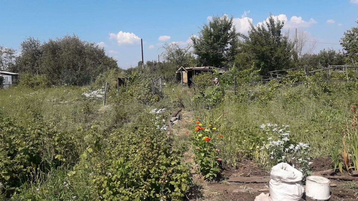 Участок 6 сот. (СНТ, ДНП)