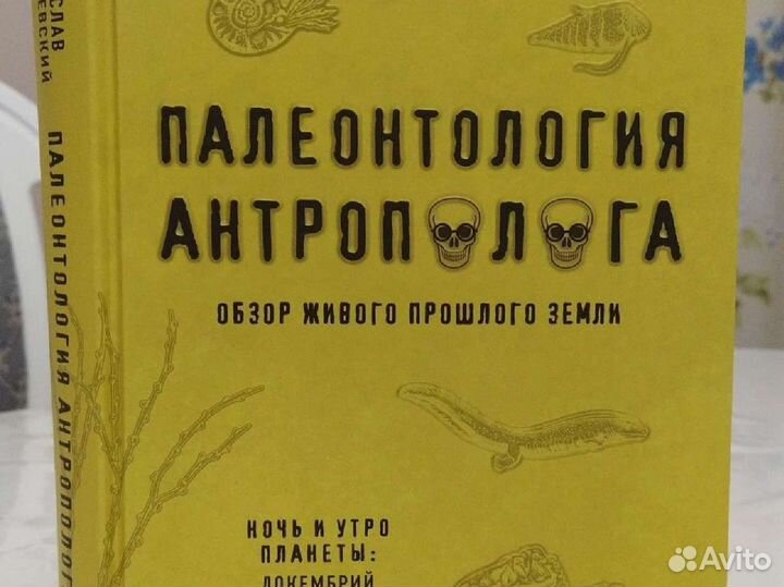 Палеонтология антрополога.С.Дробышевский