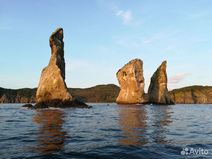 Морские прогулки на катере камчатка