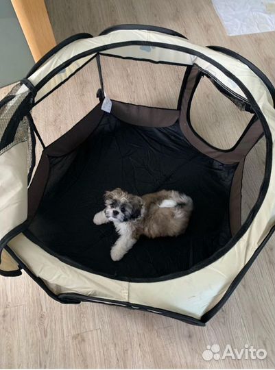 Вольер для собак, щенков,кошек, манеж для кроликов