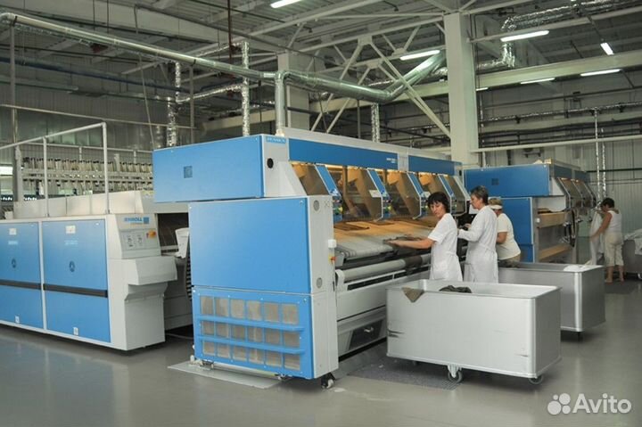 Гладильщица