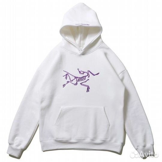 Толстовка Arcteryx x Palace