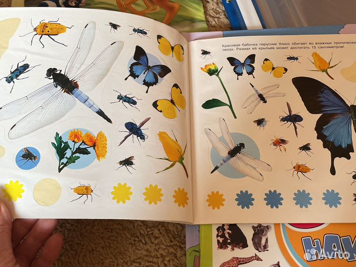 Наклейки,цветной картон и бумага