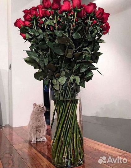 Высокие розы Гигантские розы с доставкой