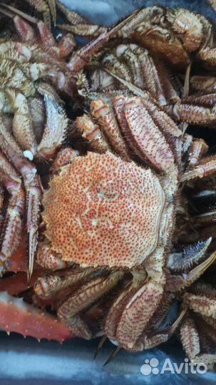 Краб Камчатский и другие морепродукты