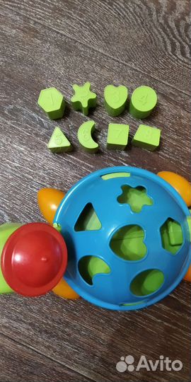 Сортер черепаха