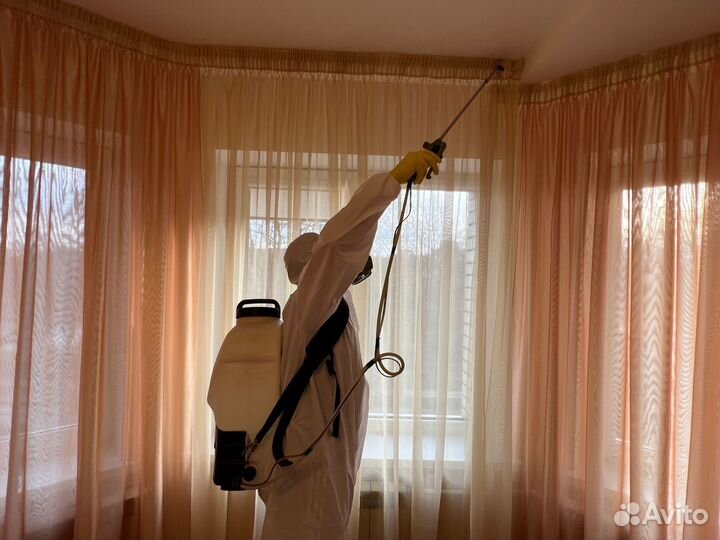 Уничтожение тараканов клопов Дезинфекция Травля