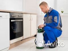 Уничтожение тараканов и клещей