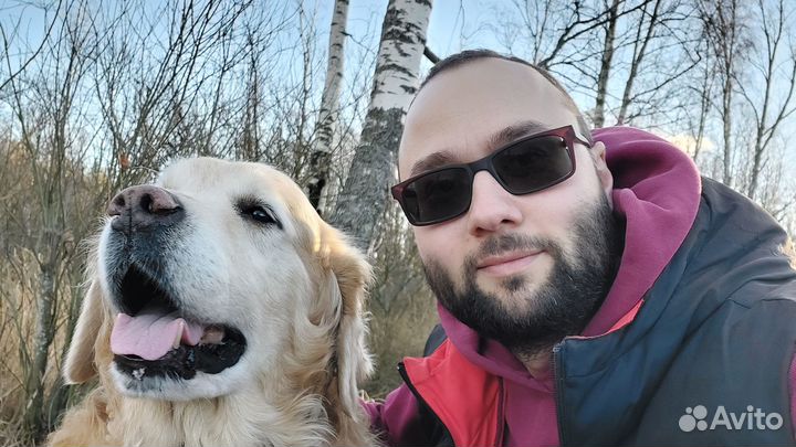 Дрессировка собак