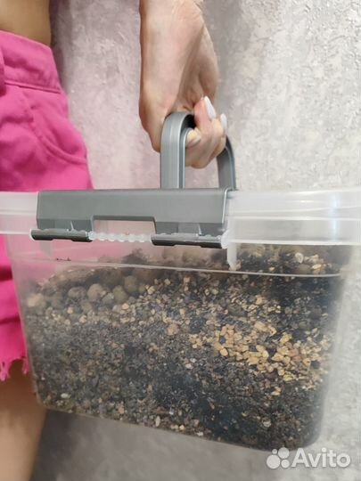 Почва для суккулентов