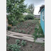 3-к. квартира, 63,4 м², 1/1 эт., Усть-Чарышская Пристань