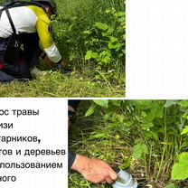Покос травы триммером, Афипский