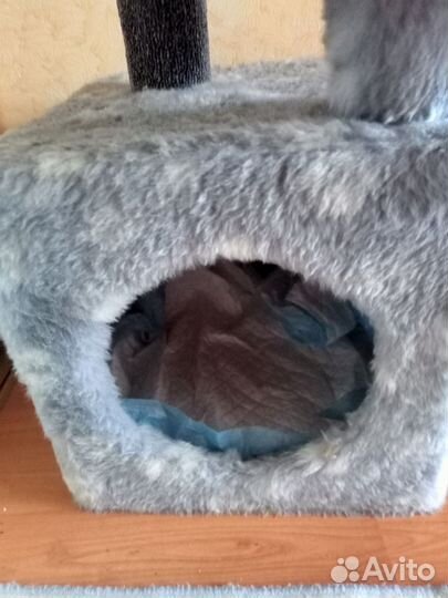 Домик для кошки с когтеточкой бу