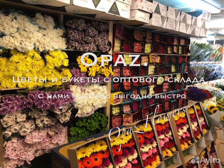 Розы высокие 100см 150 см