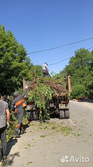 Вывоз строительного мусора