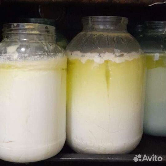 Молоко, творог сметана