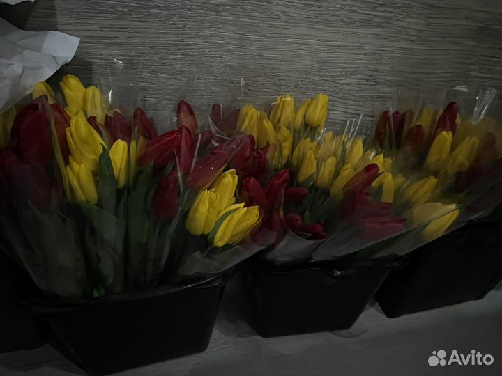 Тюльпаны к 8 марта оптом