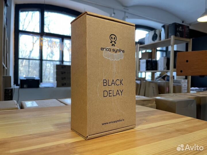 Erica Synths Black Stereo Delay в Наличии
