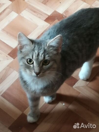 В самые добрые руки