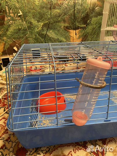 Клетка для кролика