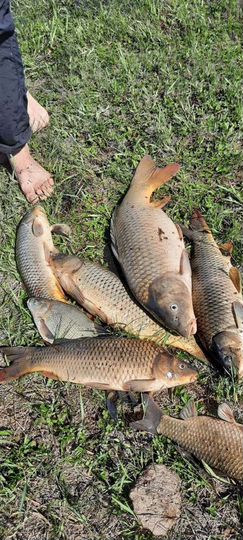 Дом 60 м² на участке 60 сот.